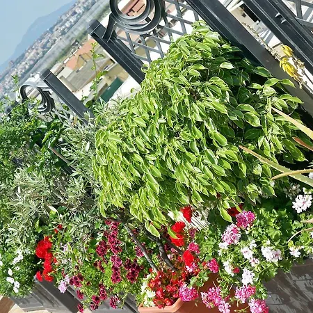 Atticovacanze Apartment *